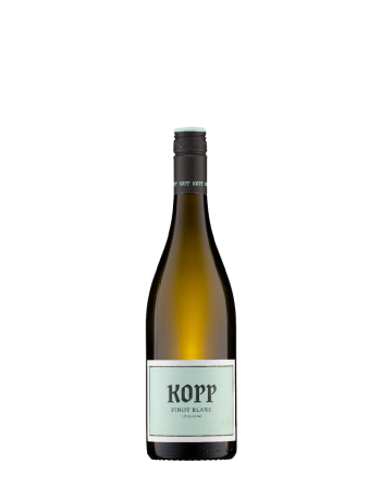 Lösslehm Pinot Blanc