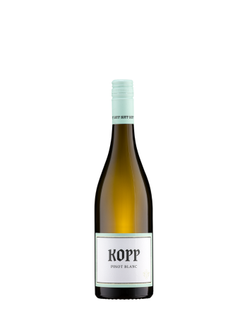 Pinot Blanc / Wein des Monats